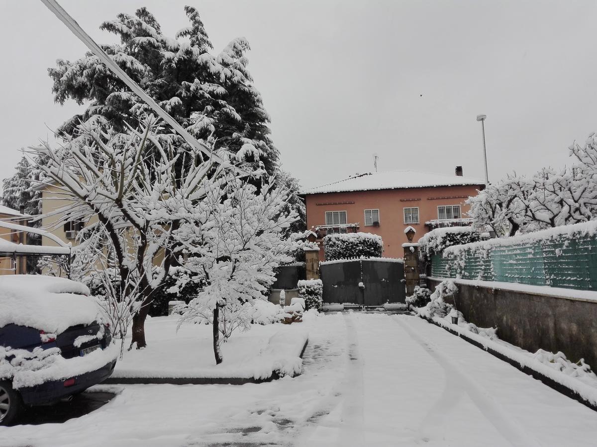 Al Vecchio Olivo Bed and Breakfast Frascati Εξωτερικό φωτογραφία