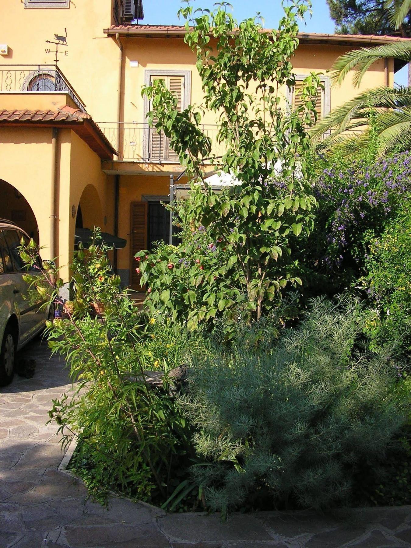 Al Vecchio Olivo Bed and Breakfast Frascati Εξωτερικό φωτογραφία